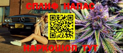 МДПВ Будённовск