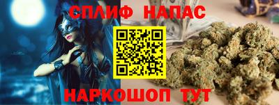 МДПВ Будённовск