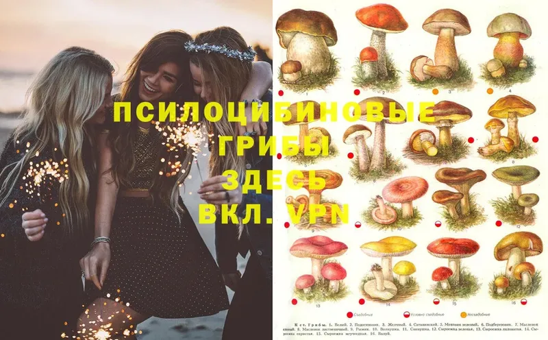 Галлюциногенные грибы Magic Shrooms  Клин 