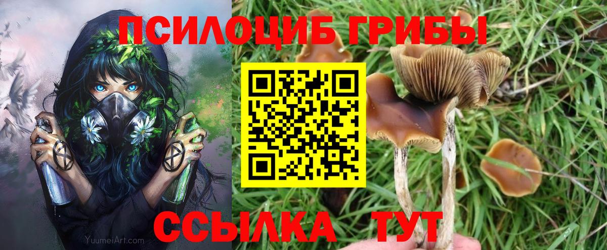 Клин  Галлюциногенные грибы Psilocybe  Вход с VPN  продажа наркотиков  Псилоцибиновые грибы мицелий 